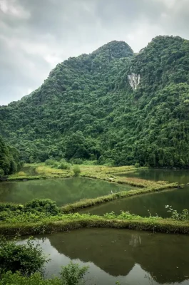 Cat Ba National Park: UNESCO Biosphere, Trekking & Wildlife in Hai Phong