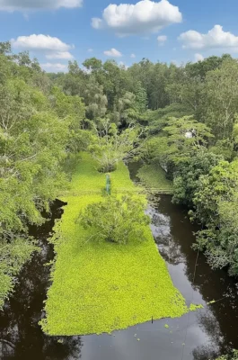 Mua Xuan Eco-Tourism Hau Giang: Boat Tours & Bird Watching in Mekong Delta