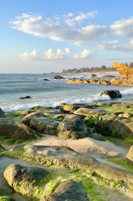Co Thach Beach Binh Thuan: Seven-Colored Stones & Green Moss Season