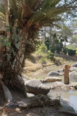 Dalat Golden Valley Tourist Park: Scenic Pine Forest & Dankia Lake Views