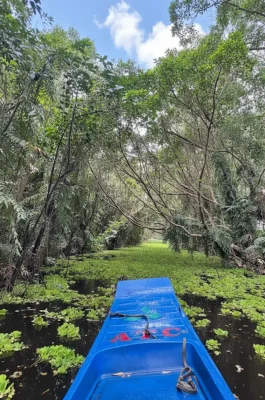 Mua Xuan Eco-Tourism Hau Giang: Boat Tours & Bird Watching in Mekong Delta