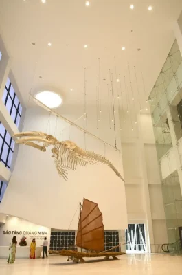 Quang Ninh Museum: Ha Long's Architectural Landmark & Cultural History