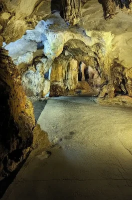 Cat Ba National Park: UNESCO Biosphere, Trekking & Wildlife in Hai Phong