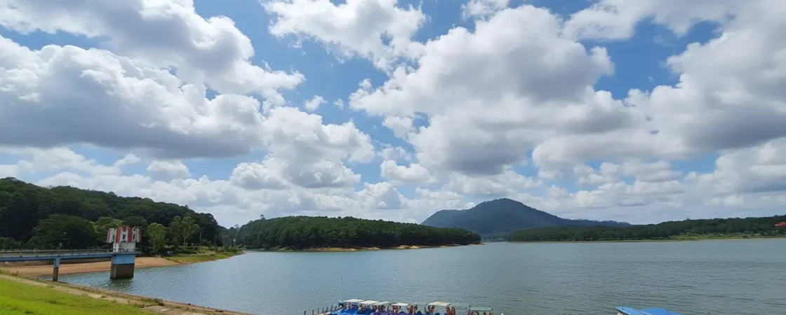 Tuyen Lam Lake Dalat: Scenic Pine Forest, Zen Monastery & Kayaking