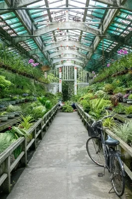 Saigon Zoo and Botanical Gardens: Historic HCMC Family Attraction