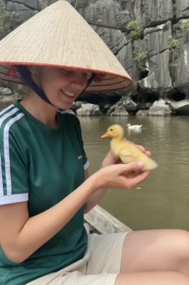 Buffalo Cave: Ninh Binh Farm Life Experience & Water Buffalo Interaction