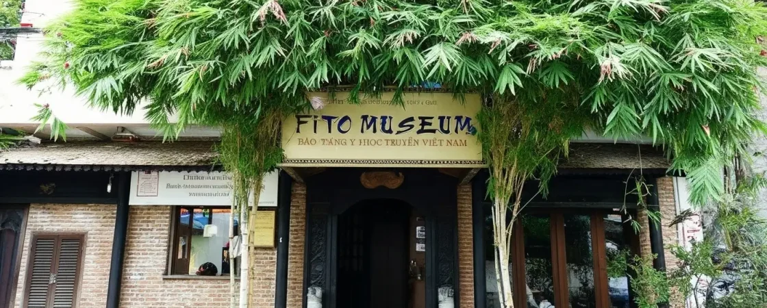FITO Museum HCMC: Traditional Vietnamese Medicine & History