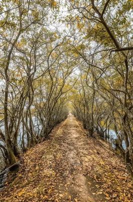 img_cc995fe7e8671c485bd48a366113e797dr