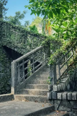 img_ce1b2e4be3b609fa50d424c4c3b57c38dr