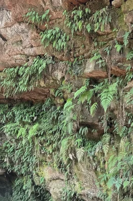 Dak Nong Volcanic Caves: UNESCO Geopark & Southeast Asia’s Longest Lava Tube System