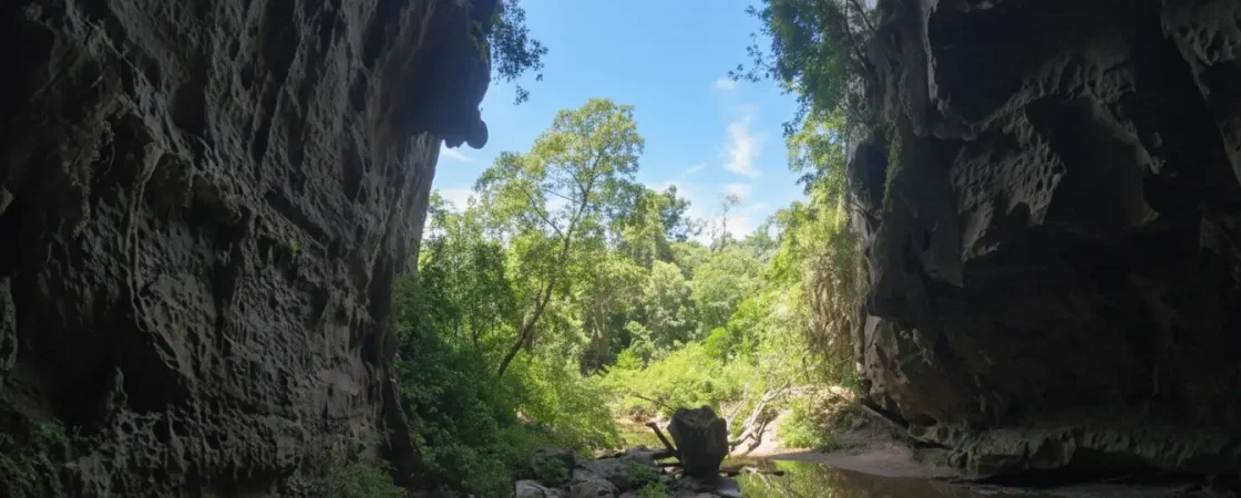 Dark Cave Phong Nha: Zipline, Mud Bath & Ultimate Adventure