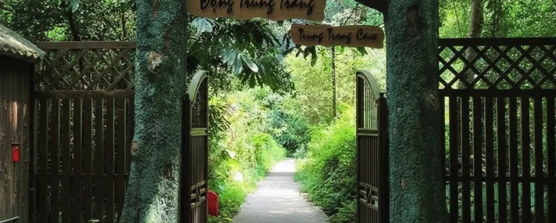 Trung Trang Cave: Cat Ba National Park's Largest Cave & Navy War History Site