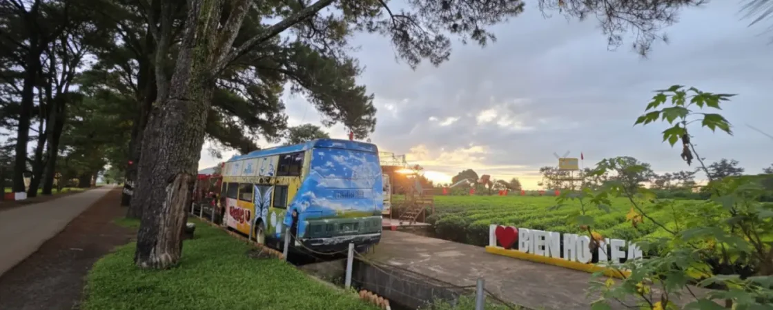 Bien Ho Tea Lake Pleiku: Historic Tea Plantation & Pine Avenue Scenic Spot