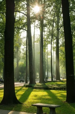 Tao Dan Park HCMC: Central Green Lung & Local Life Hub