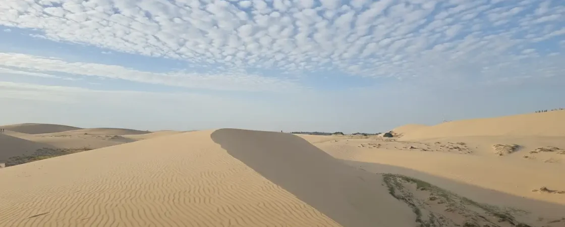 Mui Ne White Sand Dunes: Bau Trang Lake, ATV & Jeep Desert Tours