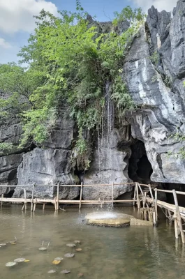 Buffalo Cave: Ninh Binh Farm Life Experience & Water Buffalo Interaction
