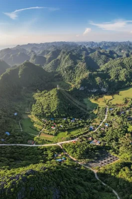 Cat Ba National Park: UNESCO Biosphere, Trekking & Wildlife in Hai Phong
