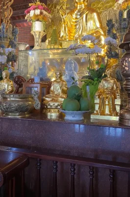 Truc Lam Phuong Nam Zen Monastery: Largest Mekong Delta Buddhist Temple