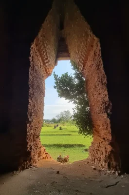 Duong Long Cham Towers: Southeast Asia's Tallest Ancient Cham Towers in Binh Dinh