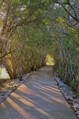 img_ed73cbed2e05ec88dcd4c9a69d23783ddr