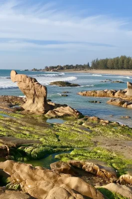 Co Thach Beach Binh Thuan: Seven-Colored Stones & Green Moss Season