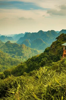 Cat Ba National Park: UNESCO Biosphere, Trekking & Wildlife in Hai Phong