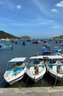 Vinh Hy Bay: Unspoiled Coral Reef Snorkeling & Nui Chua National Park Views