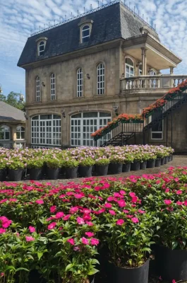 Ba Na Hills Da Nang: Golden Bridge, French Village, and Cable Car Guide