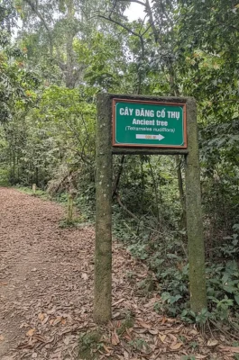 Cuc Phuong National Park: Vietnam's Oldest Tropical Rainforest & Wildlife Rescue