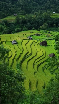 img_f8e7a8d6192bcccb8134d9519e72749edr