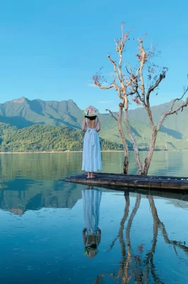 img_fb0b371a057e55b93864fb3e614cc502dr