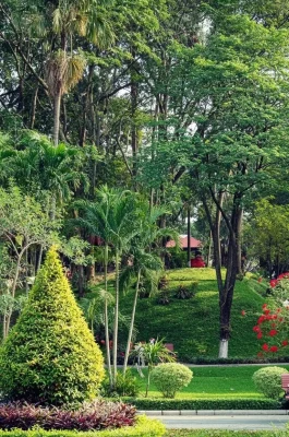 Hoang Van Thu Park HCMC: Green Oasis Near Tan Son Nhat Airport