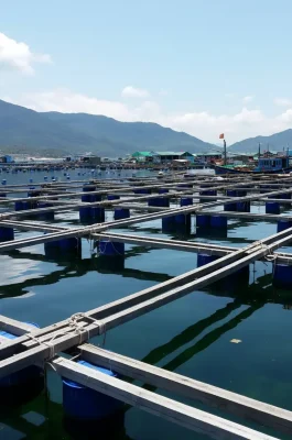 Bai Kinh Beach & Doi Qin Hill: Ninh Thuan Coastal Views & Snorkeling