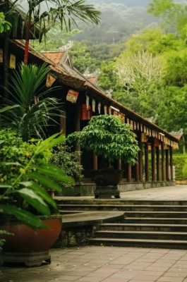 img_ffd46e3a65f957c9b58412e09b6cd5b3dr